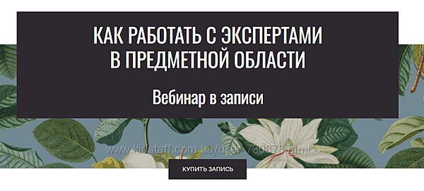 Елена Тихомирова Как работать с экспертами предметной области 2025