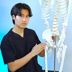 Артем Пак Здоровый тазобедренный сустав 2025