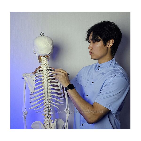 Артем Пак Новый видеокомплекс упражнений Здоровая шея 2025