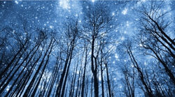 Константин Дараган Астрология налегке ноябрь-декабрь 2024