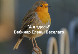 Елена Веселаго А я здесь Вебинар о причинах невозможности жить 2025
