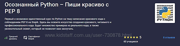 Stepik Buddha IT Осознанный Python Пиши красиво с PEP 8 2025