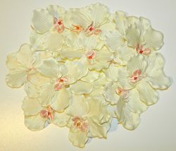Цветки орхидеи набор 17 штук для декора