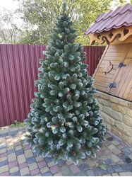 #9: Карпатська шишка