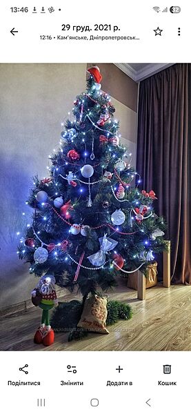 Ялинка штуна сосна