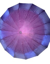 Парасолька хамелеон автомат три слона