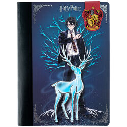 Блокнот з магнітною закладкою Kite Harry Potter HP25-19, А5, 60 аркушів, клітинка