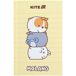 Книга записна Kite Molang ML25-199, тверда обкладинка, А6, 80 аркушів, клітинка