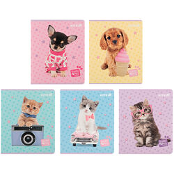 Зошит шкільний Kite Studio Pets SP25-238, 24 аркуші, клітинка