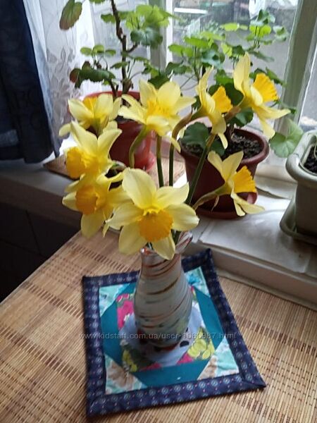 Нарциси білі жовті , махрові