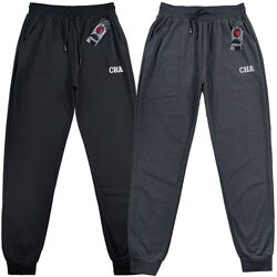 Штани спортивні чоловічі під манжет весна-осінь М, L, XL, 2XL, 3XL