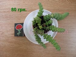 #5: Продается.