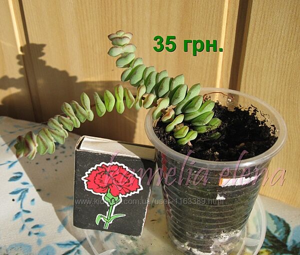 #4: Продается.