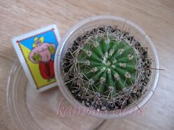 #2: Продается.