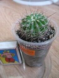 #3: Продается.