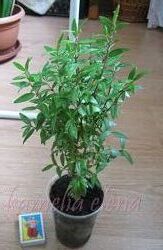 #7: Продается.