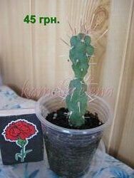#2: Продается.
