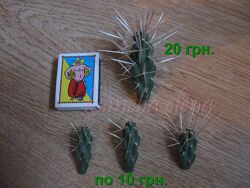 #4: Продается.