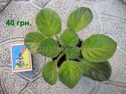 #2: Продается.