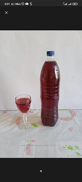 Домашнее красное виноградное вино Изабелла