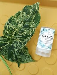 В наявності Crystal, мінеральний дезодорант-стік, без запаху, iHerb Айхерб