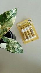 В наявності Sierra Bees, органічний бальзам для губ, крем-брюле iHerb