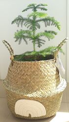 кошик для зберігання, плетенне кашпо, горщик, вазон, підставка під квіти 