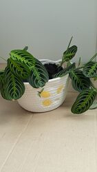 кошик для зберігання, плетенне кашпо, горщик, вазон, підставка під квіти