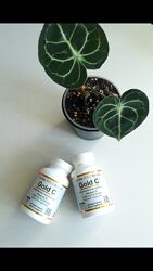 Акція, В наявності вітамін класу USP Gold C, California iHerb Айхерб