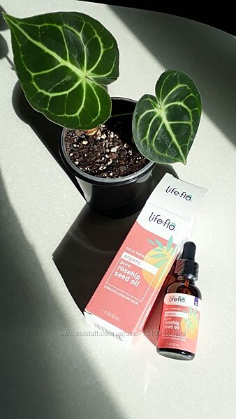 В наявності органічна олія насіння шипшини Life flo iHerb Айхерб