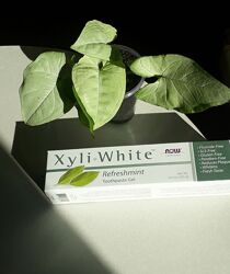 В наявності now foods solutions, xyliwhite, зубна паста у формі гелю Айхерб