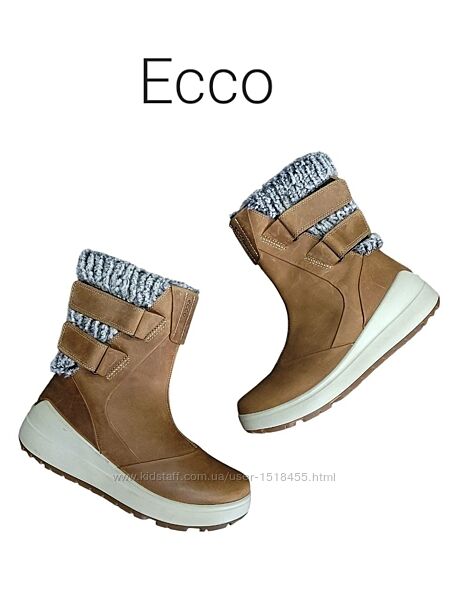 Зимние кожаные ботинки Ecco Noyce Cashmere Оригинал