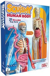 Пособие по анатомии для детей SmartLab Toys Squishy Human Body