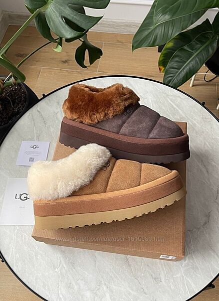 Зимові жіночі уггі Ugg Tazzlita 36-41