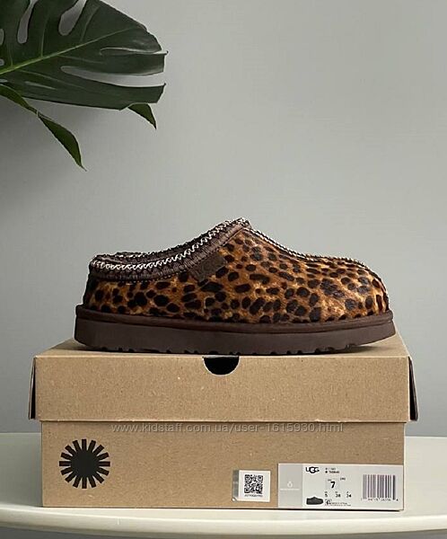 Зимові жіночі уггі Ugg Tasman Platform Sock 36-41