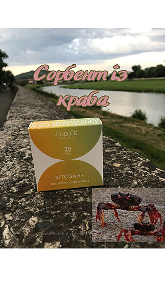 Хітозан - Детоксикація організму