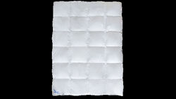 #3: магнолия