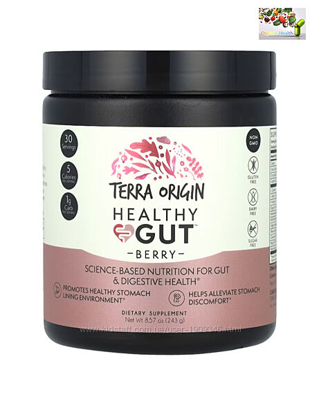 Terra Origin, Healthy Gut, для здоровья кишечника, ягода ,243 гр 