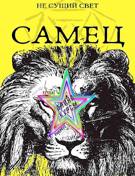 Павел Инаков - Набор Курсов