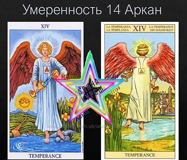 Алена Стивенс - Набор Курсов