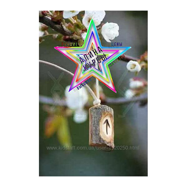 Алексей Тарасов - Набор Курсов