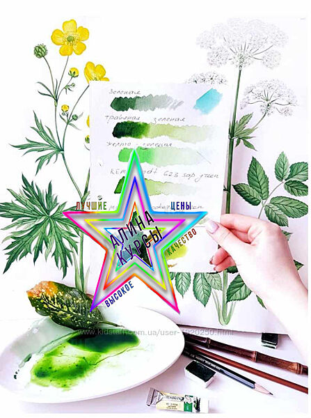 Светлана Лансе - Набор Курсов