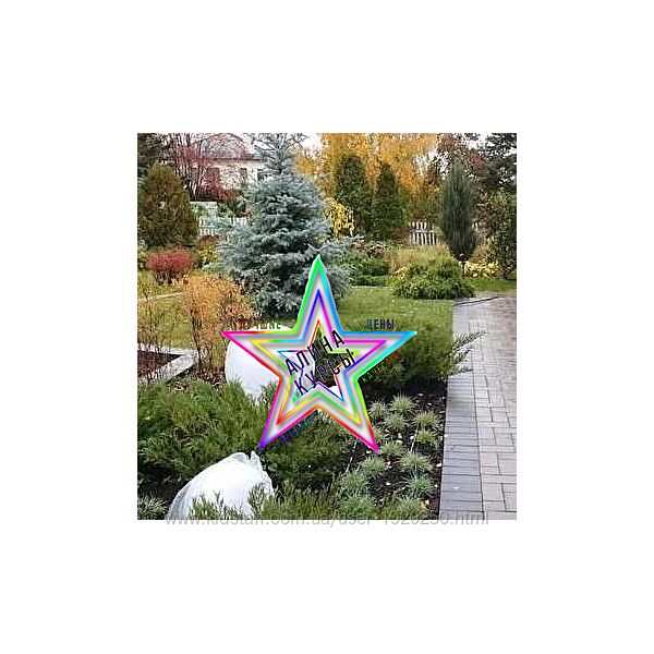 Оксана Хлебородова - Набор Курсов