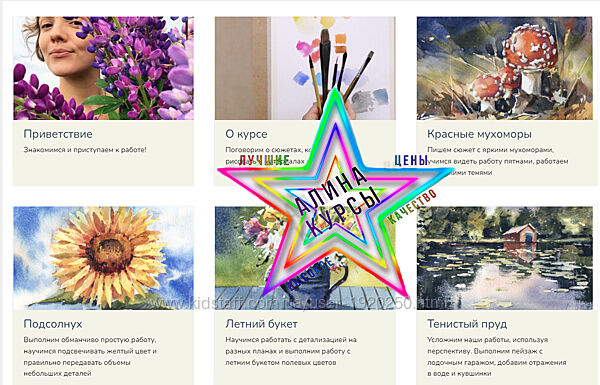  Анна Чайникова - Набор Курсов