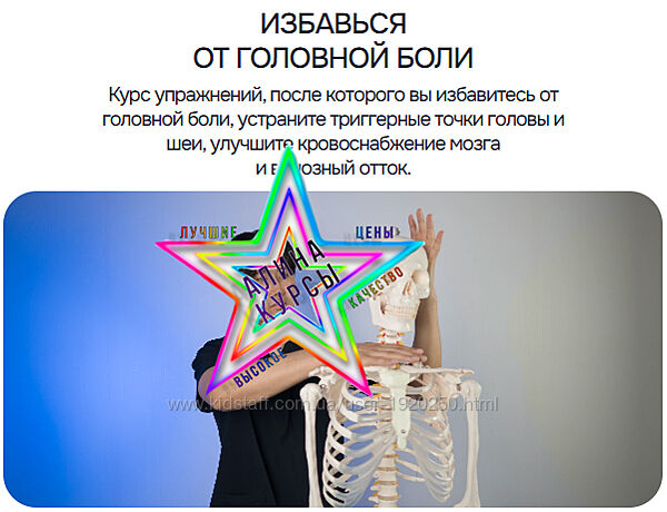 Артем Пак - Набор Курсов