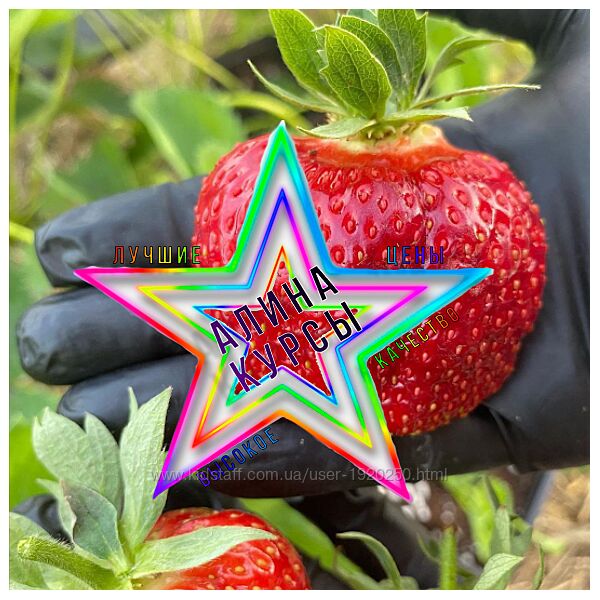  Татьяна Холомьева - Набор Курсов