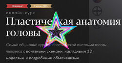 Денис Чернов - Набор Курсов