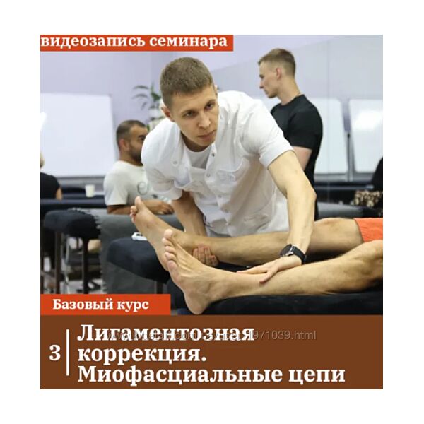 Лигаментозная коррекция. Миофасциальные цепи Андрей Максимов