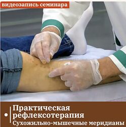 Практическая рефлексотерапия. Сухожильно-мышечные меридианы Владимир Конон