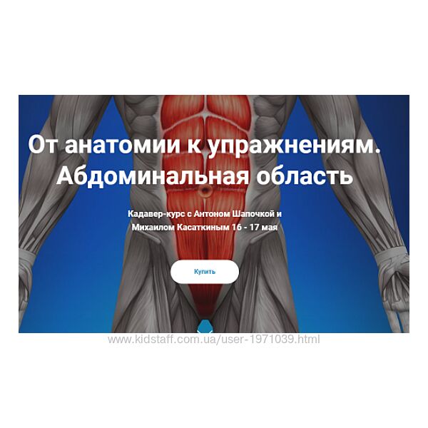 От анатомии к упражнениям. Абдоминальная область Антон Шапочка, Михаил Кас